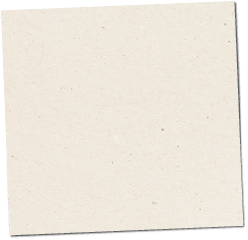 Paper texture cardboard background close-up. Cream light grunge old paper surface texture