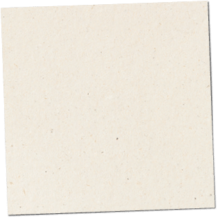 Paper texture cardboard background close-up. Cream light grunge old paper surface texture