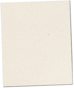 Paper texture cardboard background close-up. Cream light grunge old paper surface texture