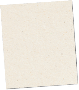 Paper texture cardboard background close-up. Cream light grunge old paper surface texture