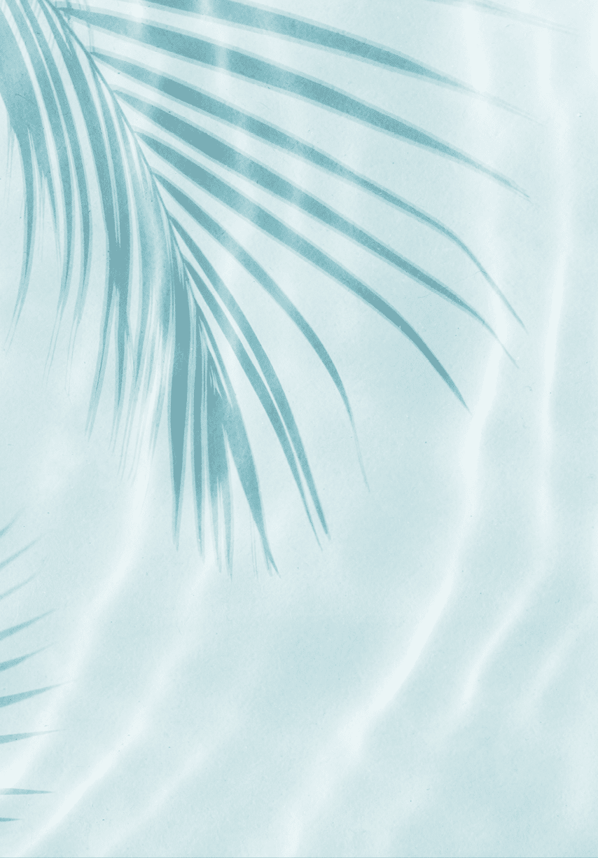 Palm tree shadow on a Blue water